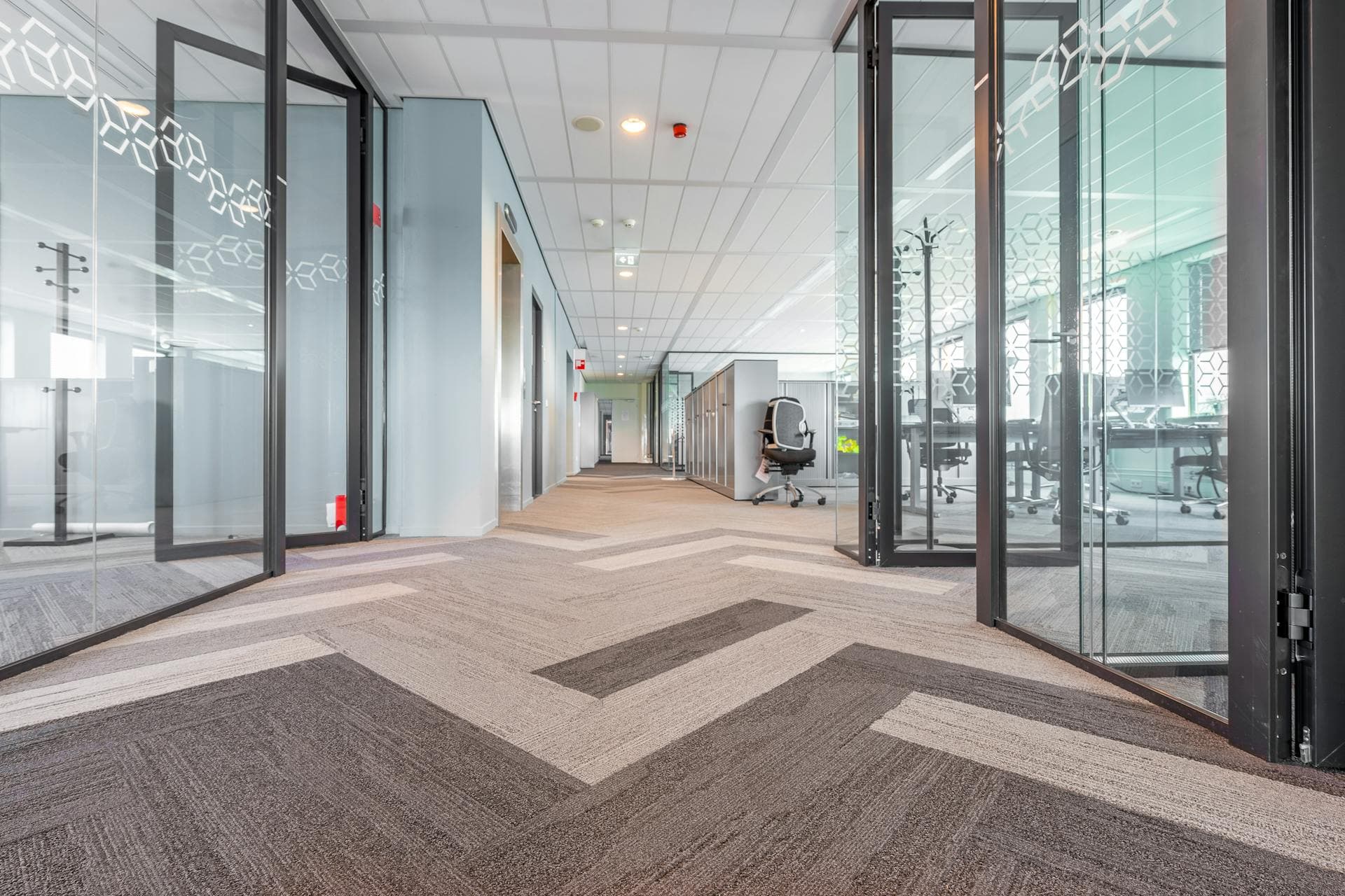 Carpet Cleaning — Golden Eagle Janitorial